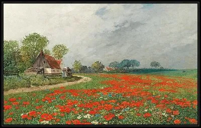 Маковое поле с ромашками