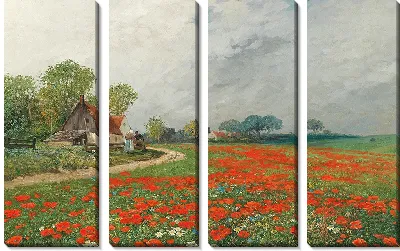 Маковое поле с ромашками