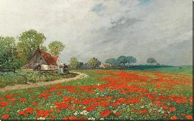 Маковое поле с ромашками