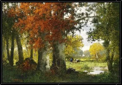 Вырубка леса сборщиками хвороста