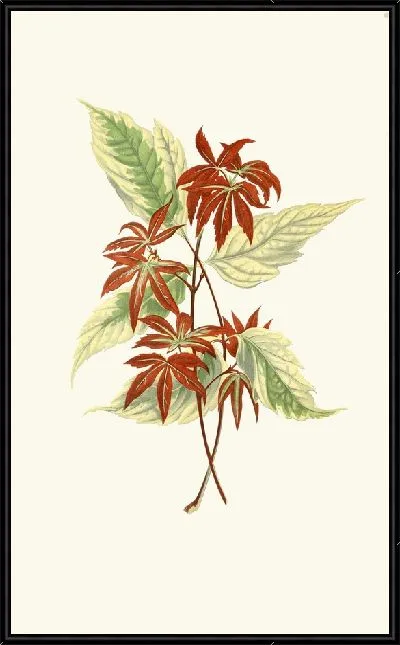 Картина Асер Негундо (1867-1870)