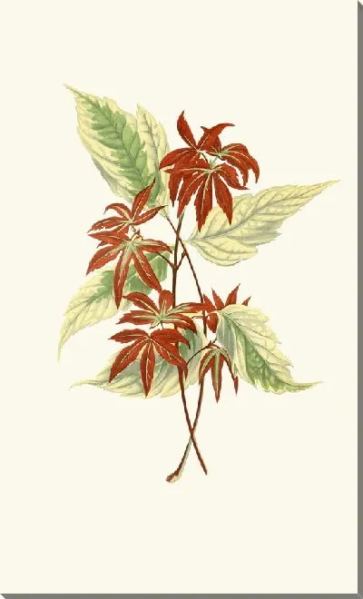 Картина Асер Негундо (1867-1870)