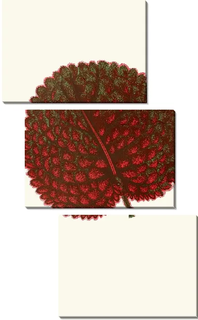 Картина Геснерия экзоньская (1867-1870)