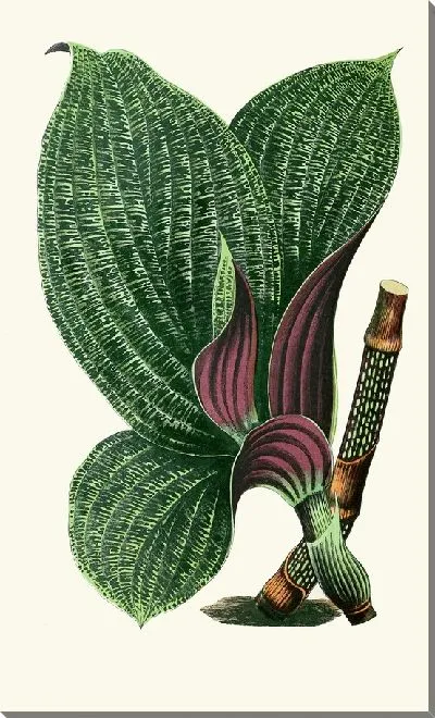 Картина Дихорисандра Мозаика (1867-1870)