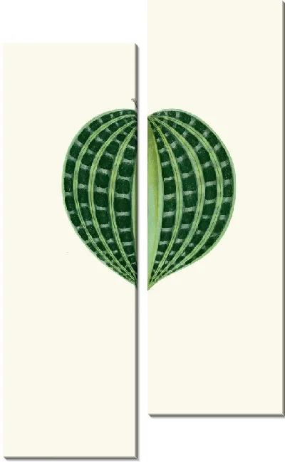 Картина Дихорисандра Ундата (1867-1870)