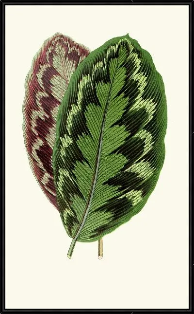 Картина Калатея Вейчиана (1867-1870)