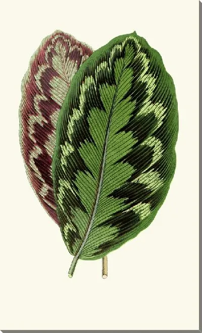 Картина Калатея Вейчиана (1867-1870)