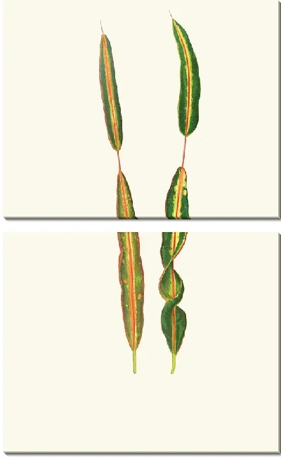Картина Кодлеум Прерывание (1867-1870)