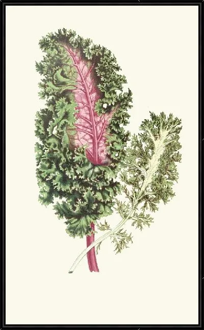 Картина Лесплантесфей02лоу (0370_1867-1870)
