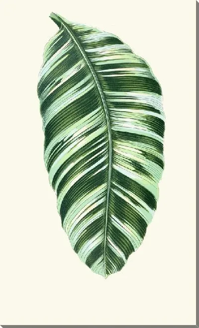 Картина Муса Виттата (1867-1870)