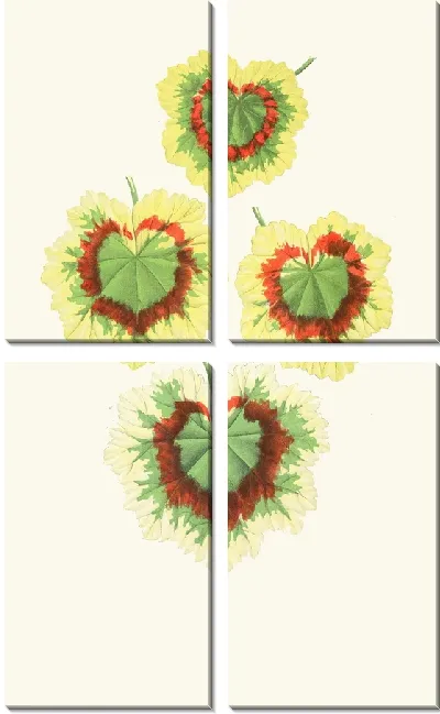 Картина Пеларгомиум зональный (1867-1870)