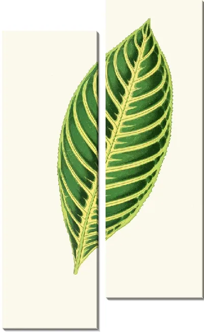 Картина Санчеция Нобилис (1867-1870)