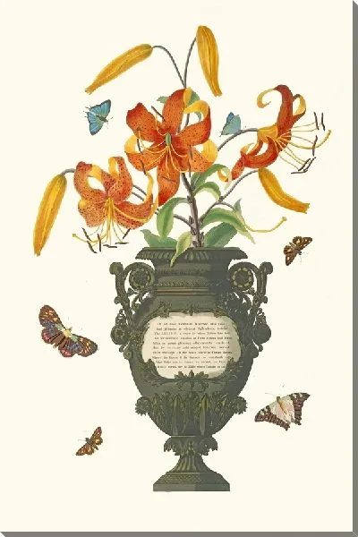 Картина Лилии Тигринум (1834)