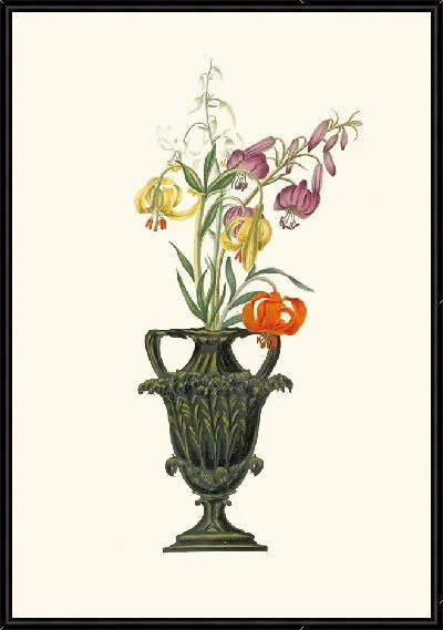 Картина Лилия помпониум (1834 г.)
