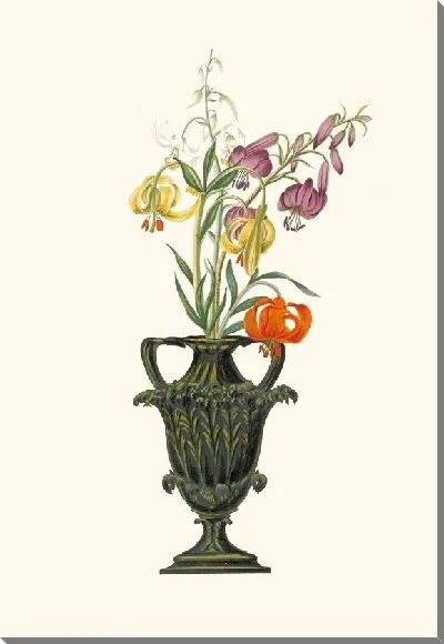 Картина Лилия помпониум (1834 г.)