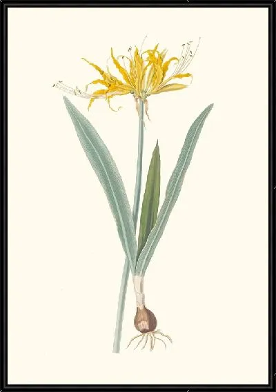 Картина Нерин Ауреа (1834)