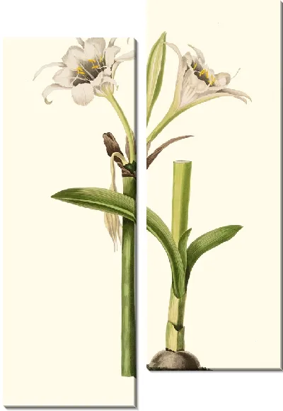 Картина Панкратий Калатинум (1834)