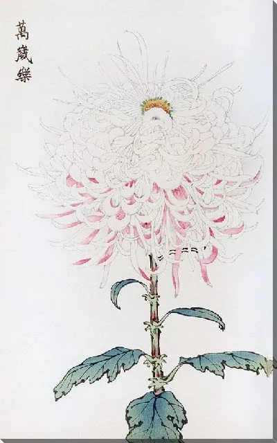 Картина Keika hyakugiku №1