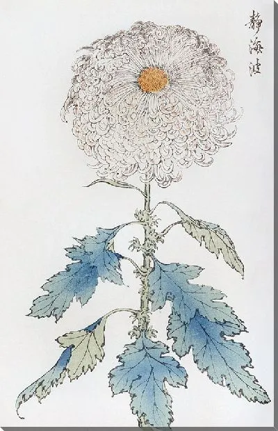 Картина Keika hyakugiku №2