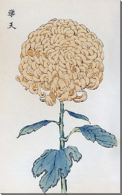 Картина Keika hyakugiku №4