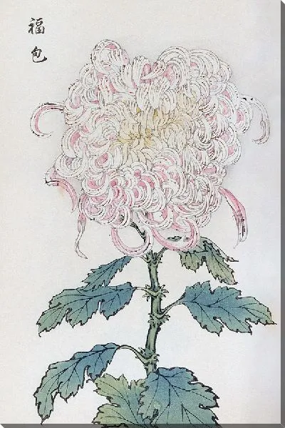 Картина Keika hyakugiku №5