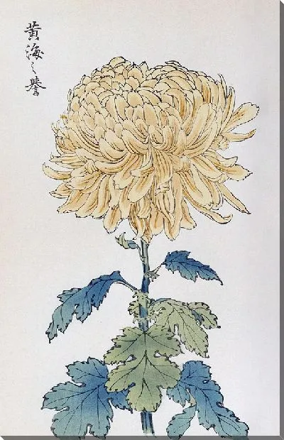 Картина Keika hyakugiku №6