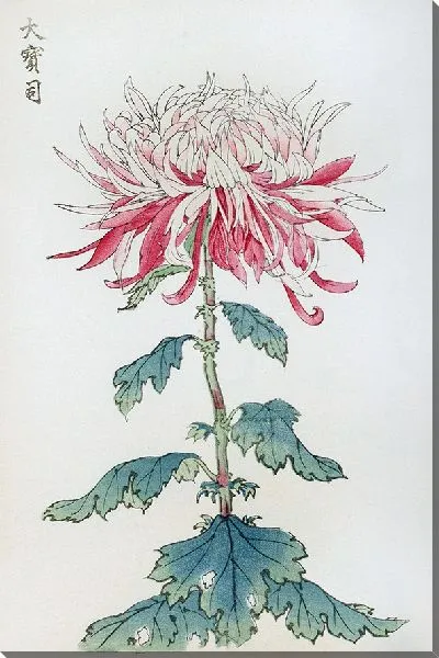 Картина Keika hyakugiku №10