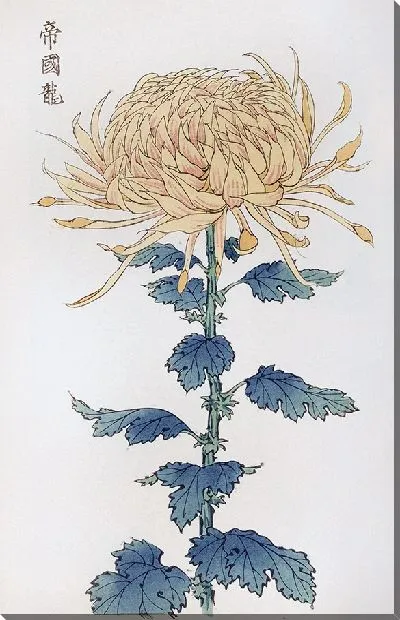 Картина Keika hyakugiku №12