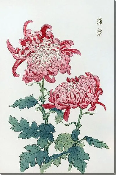 Картина Keika hyakugiku №15