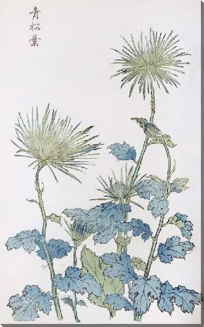 Картина Keika hyakugiku №20