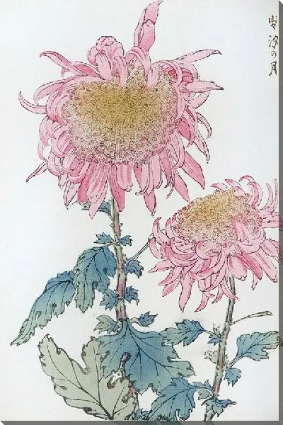 Картина Keika hyakugiku №21