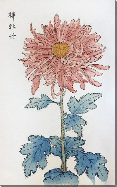 Картина Keika hyakugiku №23