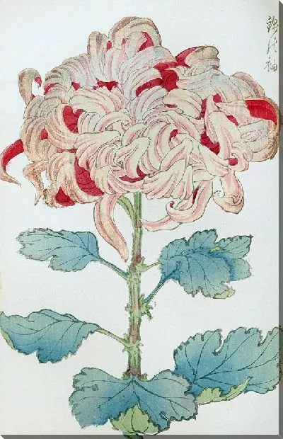 Картина Keika hyakugiku №25