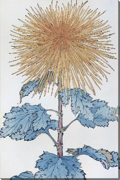 Картина Keika hyakugiku №27