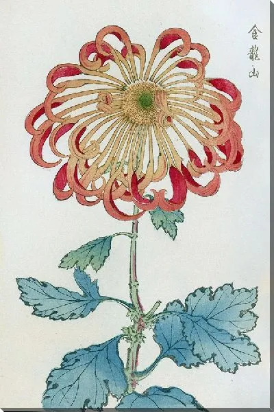 Картина Keika hyakugiku №29