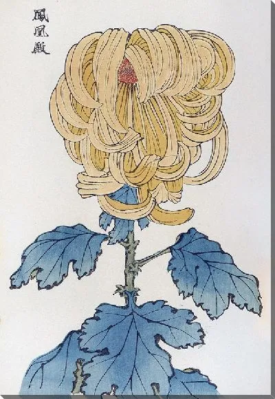 Картина Keika hyakugiku №30