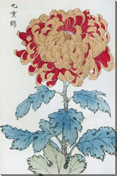 Картина Keika hyakugiku №32