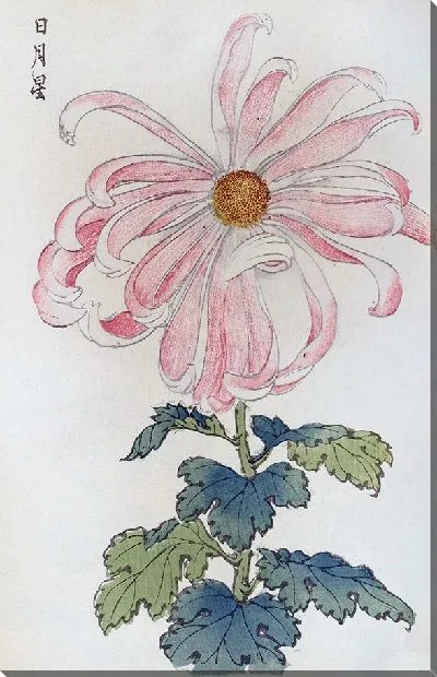 Картина Keika hyakugiku №34