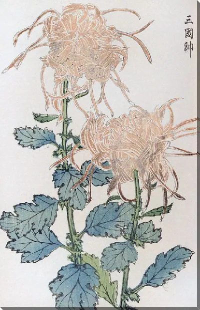 Картина Keika hyakugiku №35