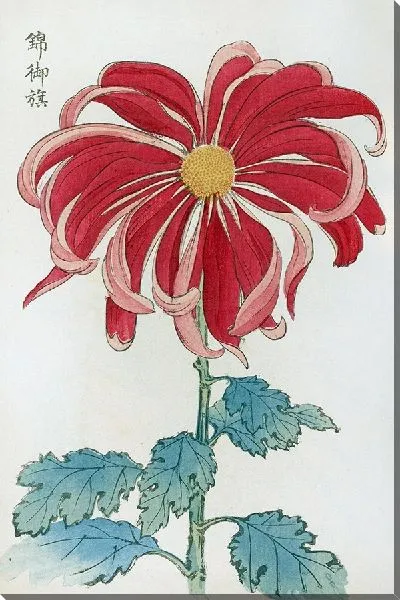 Картина Keika hyakugiku №36