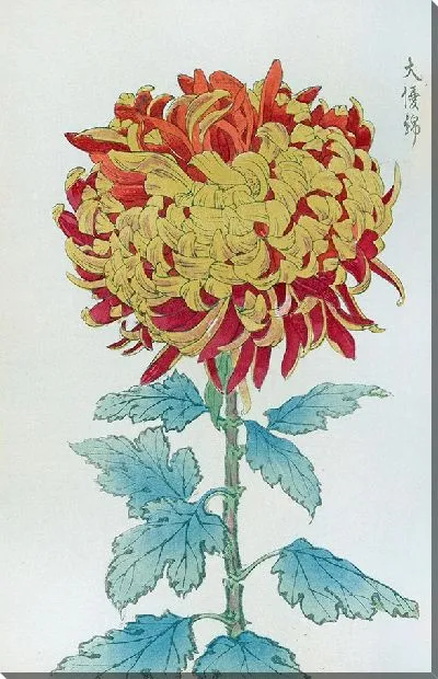 Картина Keika hyakugiku №38