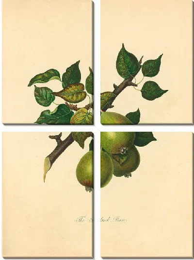 Картина Барландская груша (1811 г.)