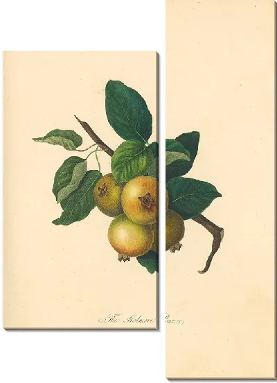 Картина Холмор Груша (1811)