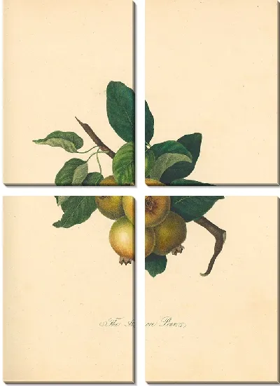 Картина Холмор Груша (1811)