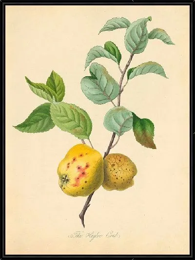 Картина Хаглоу Краб (1811)