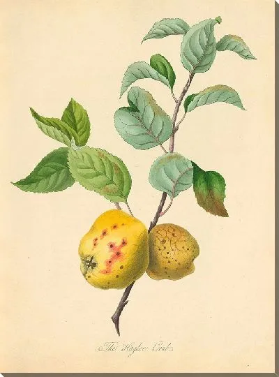 Картина Хаглоу Краб (1811)