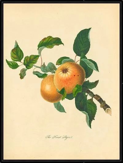 Картина Форест Стайр (1811)