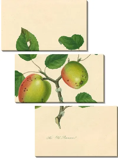 Картина Старый Пирмейн (1811 г.)