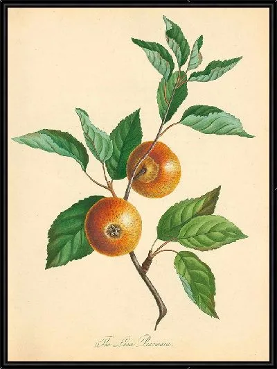 Картина Ссуда ​​Пирмейн (1811 г.)