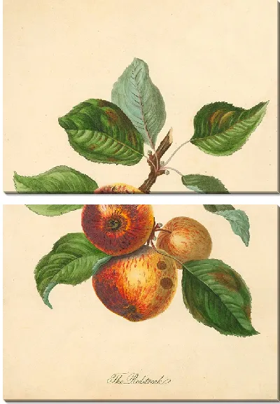 Картина Редстрик (1811)